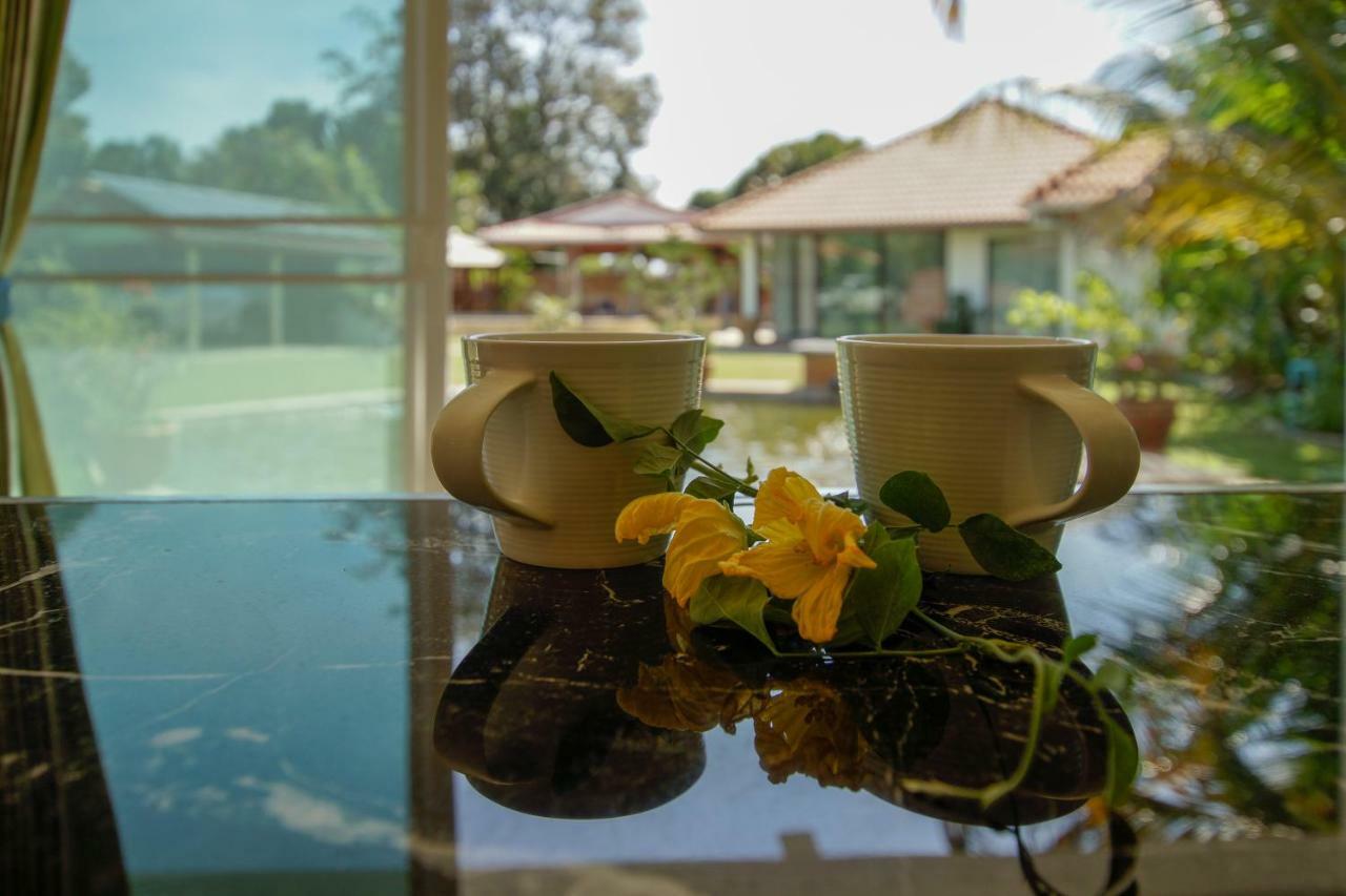 Tina'S Living Paradise - Guesthouses With Private Pool バンペー エクステリア 写真
